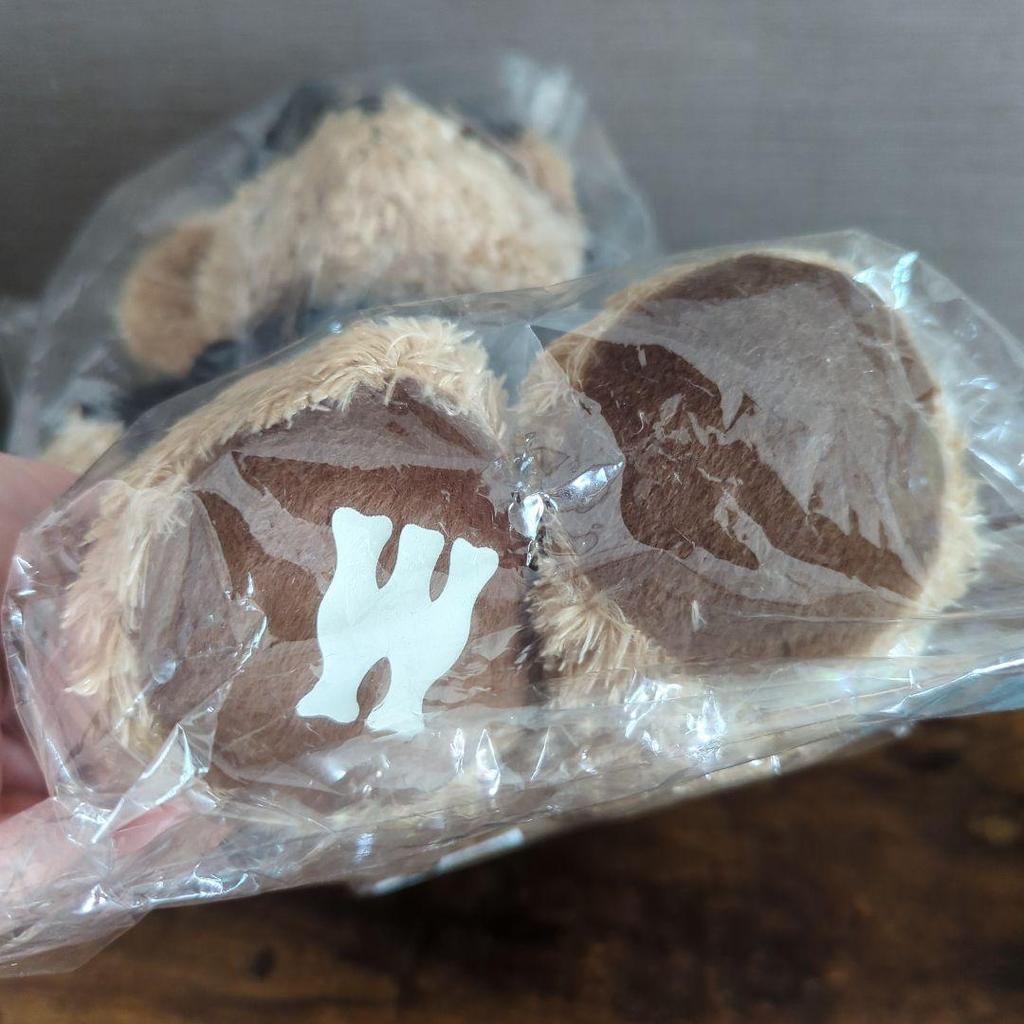 [USED] Waseda Teddy Bear - Currently Not for Sale