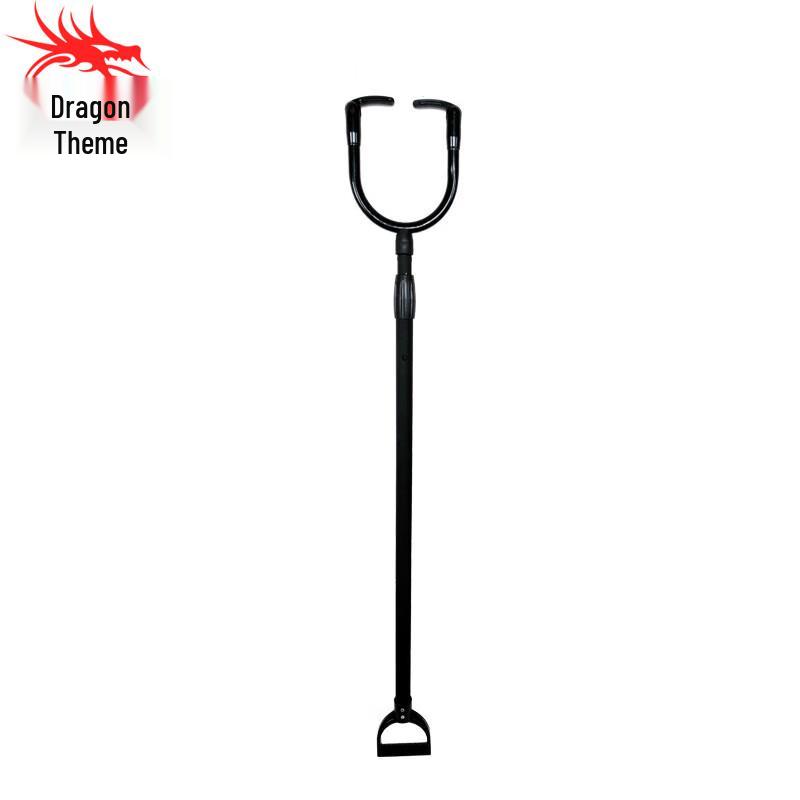 Stainless Steel Security Capture Pole