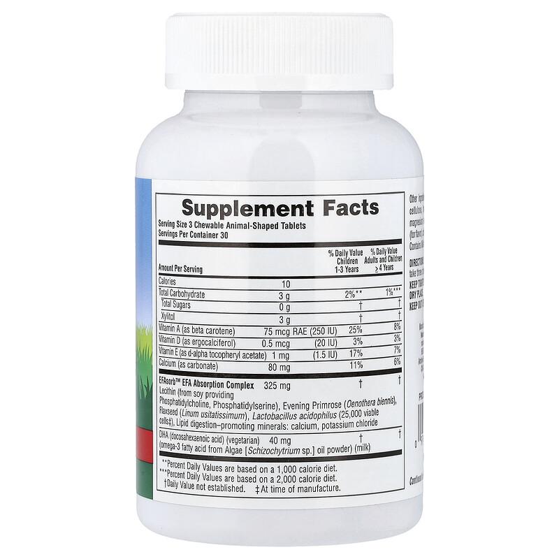 Animal Parade®, DHA Kids, Children's Chewable Omega-3 Supplement, Cherry, 90 Animal-Shaped Tablets