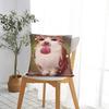 Pet Cat Funny memes Pillow Case  Retro Trendy Pillow Cover Comfy Pillowcases For Sofa Couch Bed Living Room