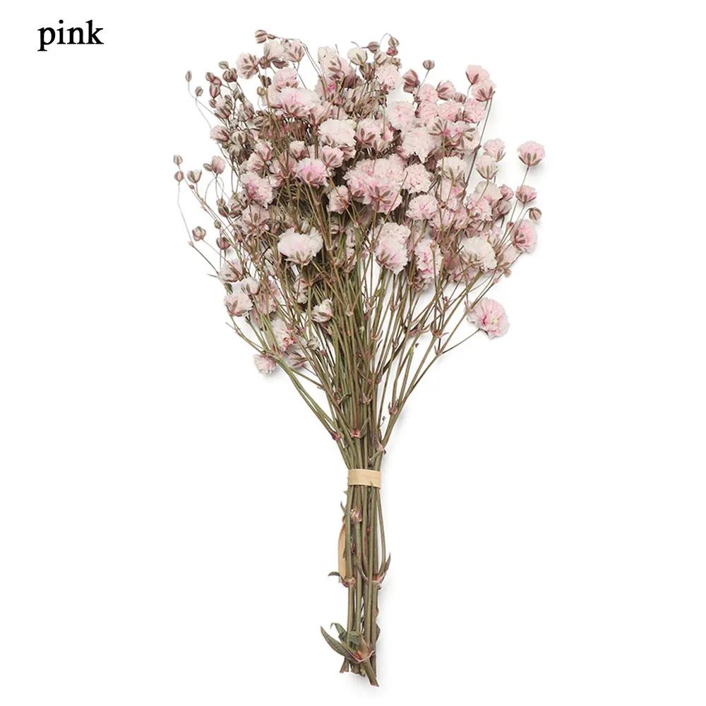 

30 шт. Мини-ромашки пампасы маленькая звезда сухоцветы букет цветочный декоративный свадебный домашний стол украшение своими руками ручная работа ремесла