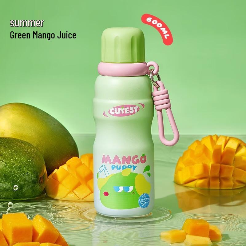 Wushengwu 600ML Stainless Steel Straw Water Bottle