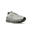 Cloudmonster Ice Alloy Men Sneakers Grey 61.97788