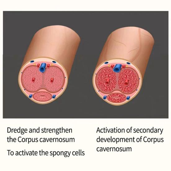 Yousheng 10ml/Bottle Enlargement Essential Oil Safe Stimulation Free Increase Libido Big Dick Penis Enlargement Oil for External Use