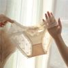 Bow Lace Panties Transparent Mesh Flower Briefs Breathable Underwear for Women  Lady