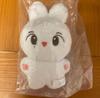 [USED] Seventeen Jeonghan 10cm Plush Toy