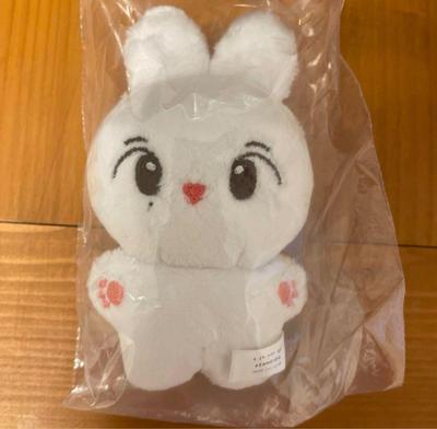 [USED] Seventeen Jeonghan 10cm Plush Toy