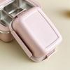 Large Capacity Divided Lunch Box 304 Stainless Steel Snack Box with Lid  Outdoor