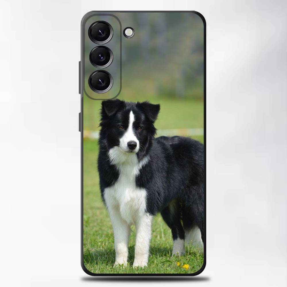 Border Collie Dog Phone Case For Samsung Galaxy A13,A21s,A22,A31,A32,A52,A53,A71,A80,Soft Black Shell