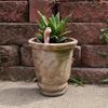 Thirsty Worm Plant Decorations, Resin Garden/Courtyard Accessories Garden Decor Courtyard Potted Plant Humidity Measurement Tool