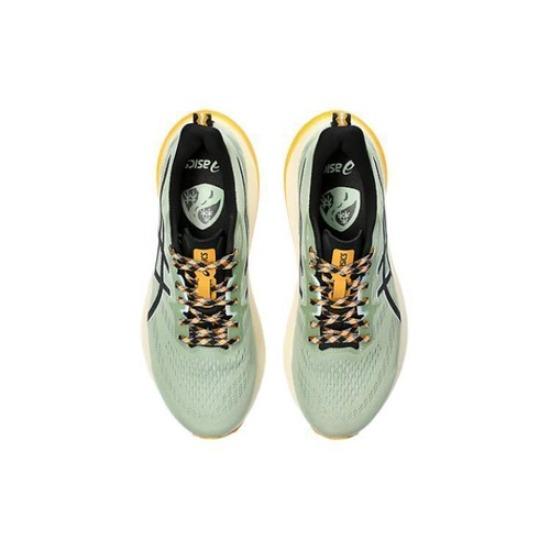 Asics GT 2000 12 TR Nature Bathing - Green Fellow Yellow - 1011B775-250