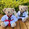 Wholesale Taekwondo Teddy Bear Plush Toy Martial Arts Gift With Logo Rose Velvet Filling 30cm