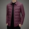 Herbst Neu Mittleren Alters Herren Revers Trendige Daunenjacke Kältebeständig und Warm Daunenjacke