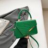 Simple Retro Portable Small Bag Women's 2025 New Trend Fashion Crocodile Pattern Foreign Style Shoulder Crossbody Small Square Bag