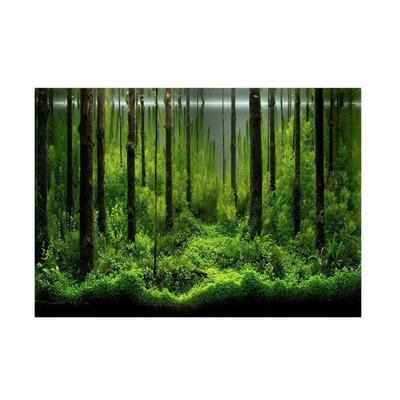 Adesivo PVC Sfondo Poster per Acquario Foresta Sottomarina Carta Decorativa (61*41cm)