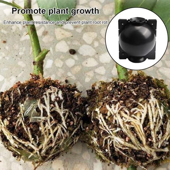 Grădină Înrădăcinare Minge Altoire Rădăcină Cutie de creștere Caseta de reproducere Container