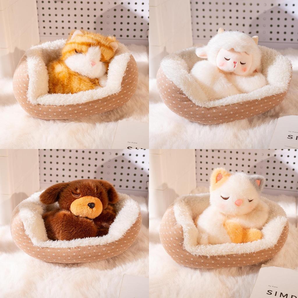 Plush Dog And Cat Toy With Pp Cotton Filling For Kids And Adults