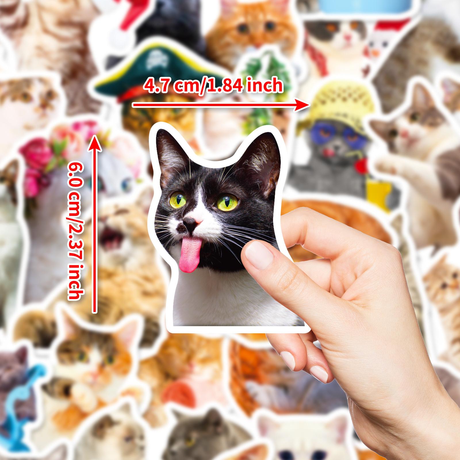 

50 Реалистичных наклеек с котами Три цветка Рыжий кот Неповторяющиеся Водонепроницаемые Декоративные наклейки