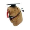 Capibara Capybara Ugly Cute Doll Capiella Pull Pillow Cuddle Sleeping Doll Plush Toy Backpack Girls Gift