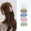 Korean Style Versatile Plush Hair Clip - Fashionable, Fluffy, High-End Women's Accessory