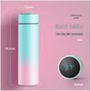 Duoli Macaron Smart Stainless Steel Insulated Bottle 500ml