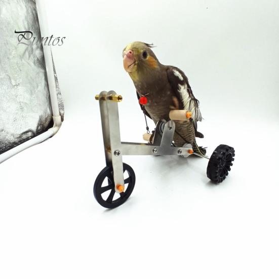 Vogel Fahrrad Spielzeug 1 Set Papagei Training Lustiger Wellensittich Nymphensittich Wellensittich Fahrrad Mini Metall 4 Räder Fußtraining Lernmaterialien Fahrradförmig