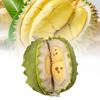 Durian Removable Plush Toy Dolls Soft Room Decoration Ornament Gifts Children