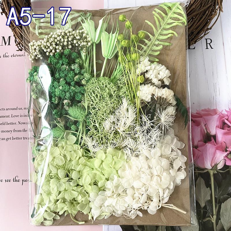 Exquisite Eternal Dry Flower Ancient Style Group Fan Material Pack for Children's Handmade Exclusive Decoration Dried Flowers