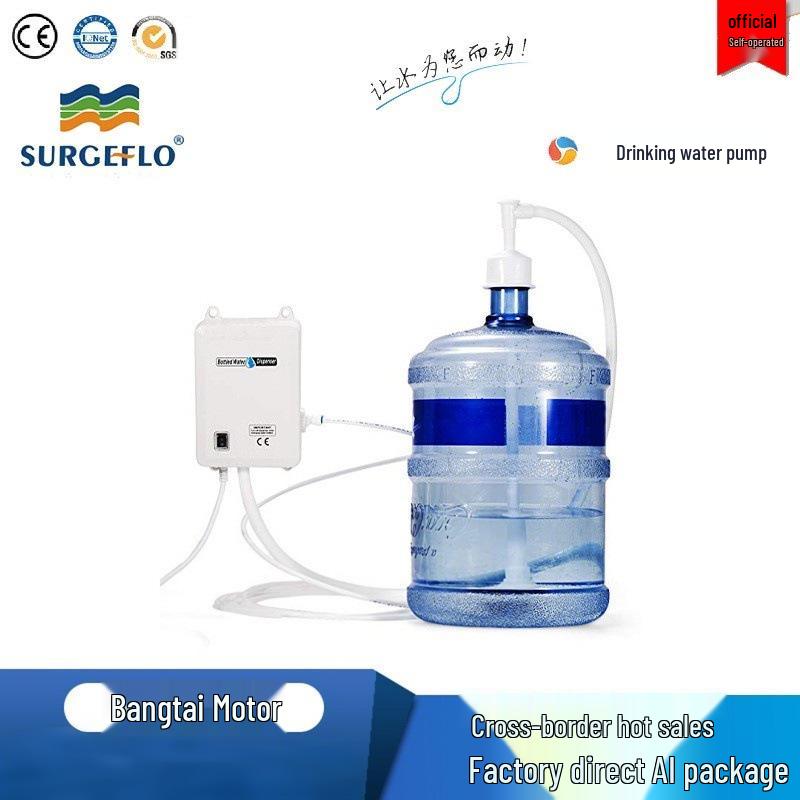 Electric Water Pump for Coffee and Beverages - Food Grade DC-12V