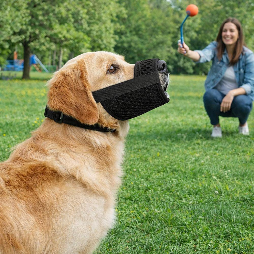 Prevent Chewing Anti Bite Dog Mesh Muzzle Prevent Barking Breathable Puppy Soft Adjustable Dog Mouth Guard Outdoor Walks