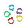 500 PCS Poultry Foot ring chicken Birds Quail Chick Duckling Pigeon 1.6 cm Inner Diameter Recognition foot ring Chicken tools