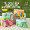 Outdoor Cooler Bag With Insulation For Camping And Picnics 14l Foldable Aluminum Foil Material