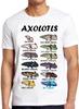 Tops – Camisetas