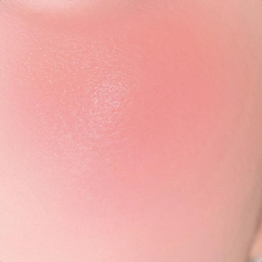 CLIO Essential Lipcheek Tap 4.5g (Dewy/Blur) (12 Colors)