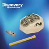 Toytron Discovery Mini Kit Dinosaur Fossil Excavation