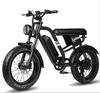 Maxturn MX10 E-Mountain Bike Fuoristrada Batteria 48V13.5Ah Motore 500W Carico 180KG Autonomia 100km Ruote Grasse da 20 Pollici Bicicletta Elettrica Fuoristrada