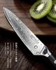 Premium PAUDIN Paring Damascus VG10 Stainless Steel with G10 Fruit Knife for and Gift [Shoun] Knife, 127mm, 67-Layer Handle, Double-Edged,