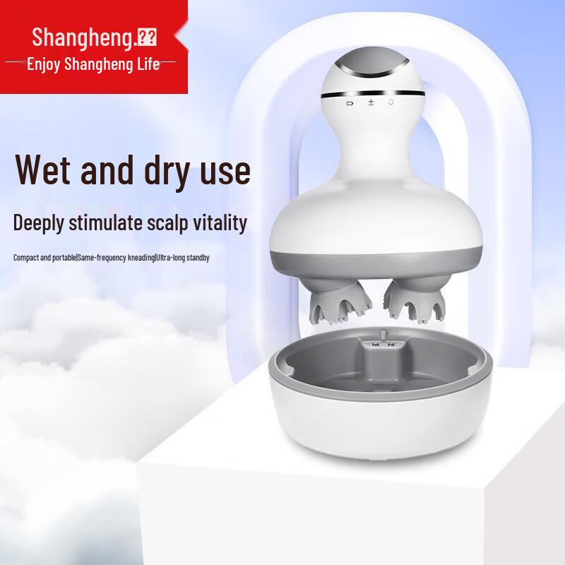 

Shangheng Electric Scalp Massager
