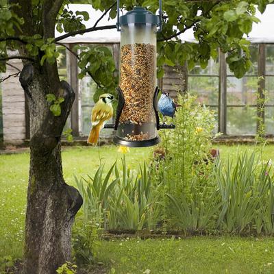 Bird Feeder Squirrel-Proof Wild Bird Feeder Outdoor Hanging Bird Feeder Bird Food Dispenser Food Bird Food Dispenser