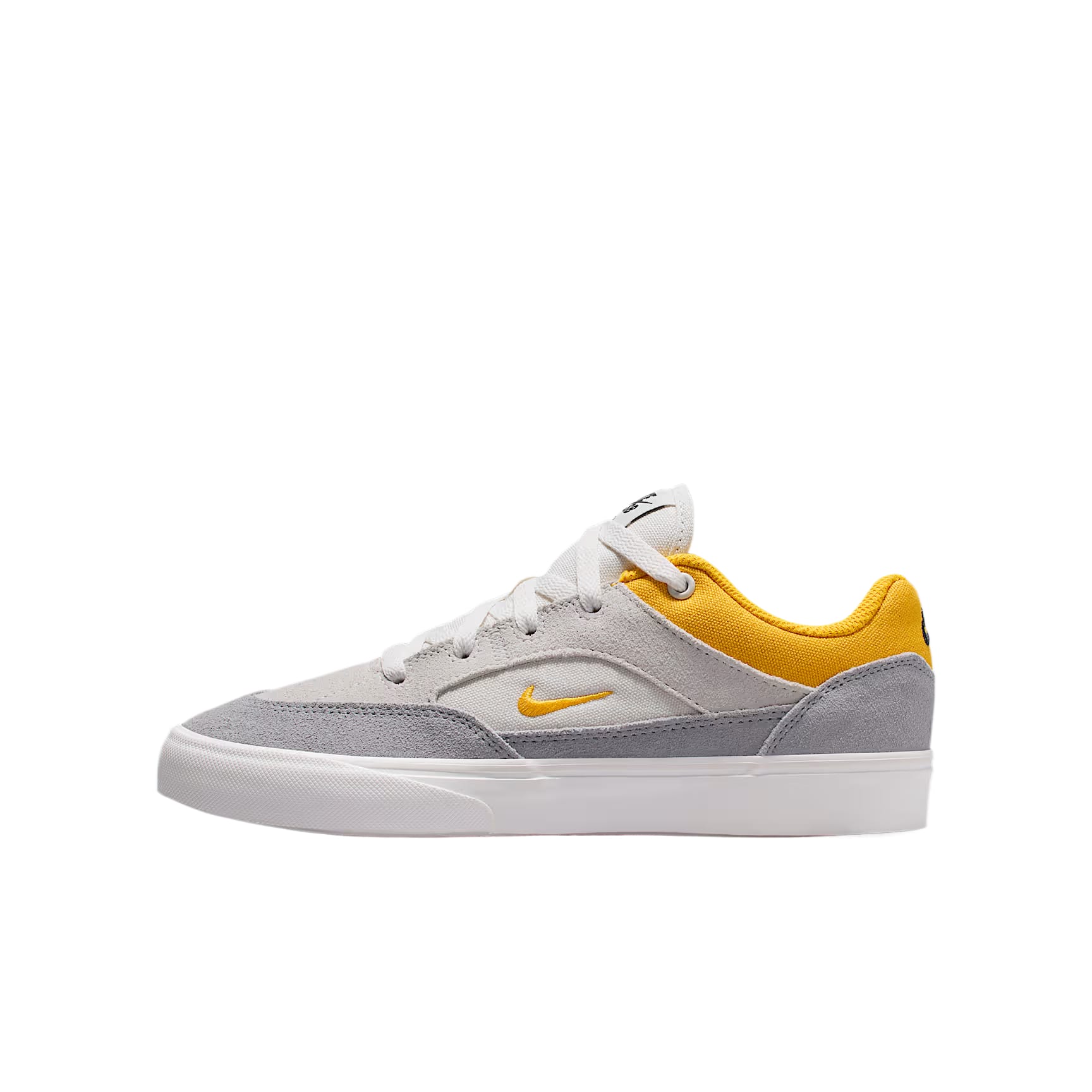 Nike SB Skateboard Shoes Gray Unisex