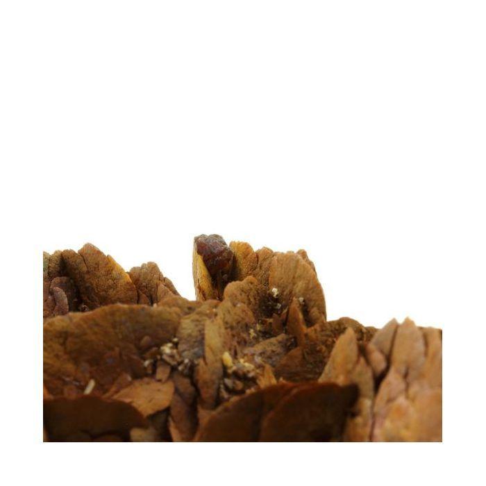 Sidérite + Sphalérite 1605.0 carats