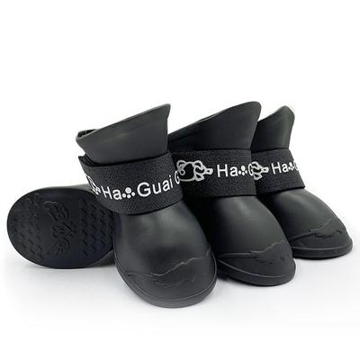 Ropa y calzado – Zapatos para perros