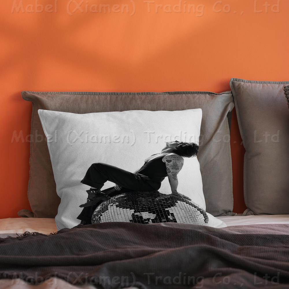 Sänger H-Harrys S-Styles Personalisierte Bildtext Heimdekorationskissen Haushaltsgeschenke 45x45cm