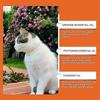 100ml Cat Deterrent Spray Natural Scratching Cats Anti Scratch Spray No Stimulation Orange Fragrance Sofa Furniture Protectors