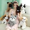 22 /30 /40cm Kawaii Chihuahua Bulldog Peluş Oyuncaklar Sevimli Simülasyon Hayvan Köpek Bebekleri Dolgulu Yumuşak Oyuncaklar Çocuk Bebek Doğum Günü Hediyesi İçin