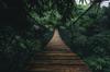 Photomural Suspension Bridge In A Forest Washable Fleece 405x270