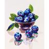 Disco Vintage Cherry Strawberry Blueberry Watermelon Lemon Fruit Art Poster Canvas Paintings Wall Art Pictures Home