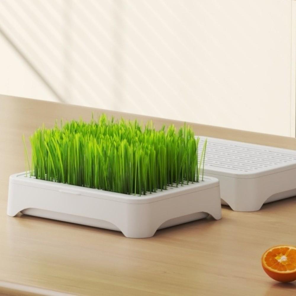 Self-planted Tray Hydroponic Tray Anti-Pull Out Soil-Free Nursery Box Pet Cat Use