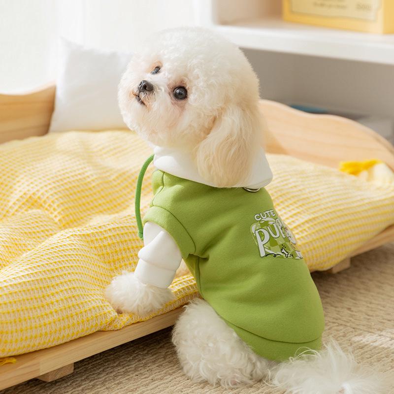 Sweat à capuche tendance pour Bichon et petit chien - Vêtement pour animal de compagnie chaud pour l'automne/hiver à deux pattes