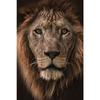 Black White Animals Art Lions Oil Painting Canvas Art Posters and Prints Wall Pictures for Living Room Home Wall Decor